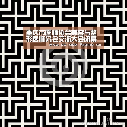 重庆市医师协会美容与整形医师分会交流大会闭幕‘九游APP下载’