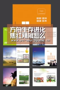 九游游戏中心