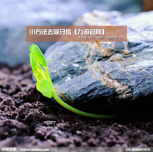 小方法去除牙垢【九游官网】