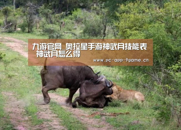 九游官网_奥拉星手游神武月技能表 神武月怎么得