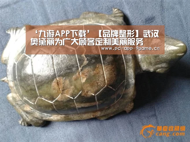 ‘九游APP下载’【品牌整形】武汉奥黛丽为广大顾客定制美丽服务