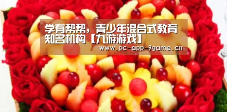 学有帮帮，青少年混合式教育知名机构【九游游戏】