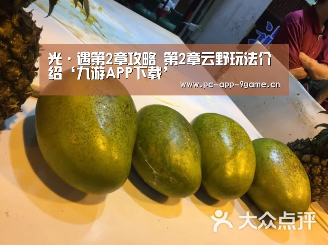 九游APP下载