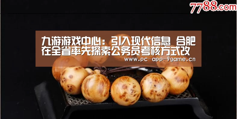 九游游戏中心：引入现代信息 合肥在全省率先探索公务员考核方式改革
