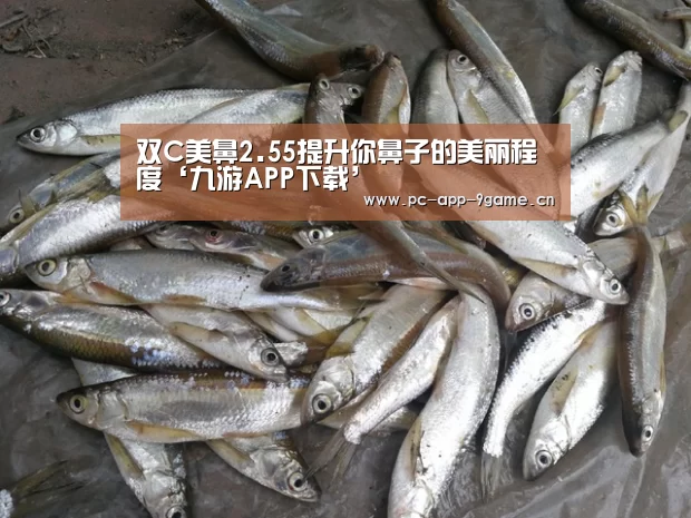 双C美鼻2.55提升你鼻子的美丽程度‘九游APP下载’(图4) 九游游戏中心